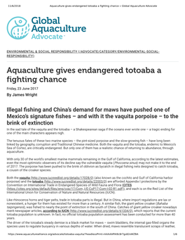 Aquaculture Gives Endangered Totoaba a Fighting Chance « Global Aquaculture Advocate