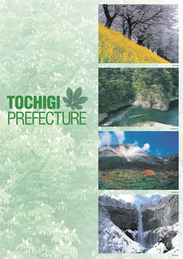 Tochigi Prefecture