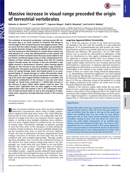 Massive Increase in Visual Range Preceded the Origin of Terrestrial