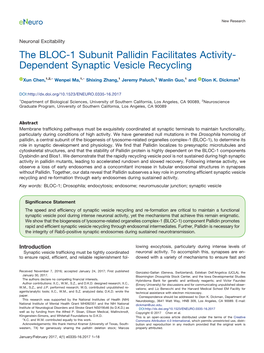 The BLOC-1 Subunit Pallidin Facilitates Activity-Dependent