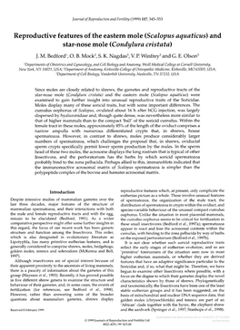 Reproductive Features of the Eastern Mole (Scalopus Aquaticus) and Star-Nose Mole (Condylura Cristata) J