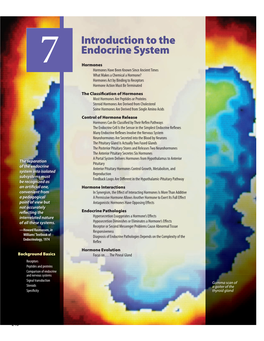 Introduction to the Endocrine System