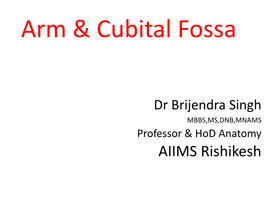 Arm & Cubital Fossa