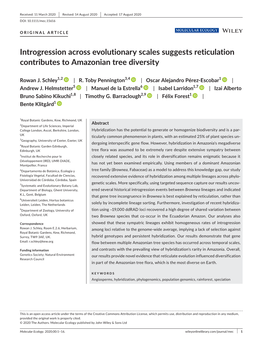 Introgression Across Evolutionary Scales Suggests Reticulation Contributes to Amazonian Tree Diversity