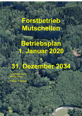 Forstbetrieb Mutschellen Betriebsplan 1. Januar 2020