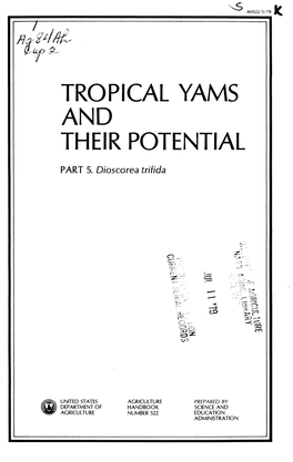 Tropical Yams and Their Potential