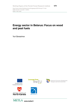 Energy Sector in Belarus: Focus on Wood and Peat Fuels