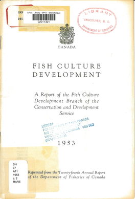 Culture Development