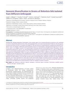 Genomic Diversification in Strains of Rickettsia Felis Isolated from Different Arthropods