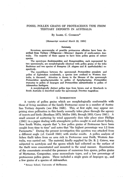 FOSSIL POLLEN GRAINS of PROTEACEOUS TYPE from TERTIARY DEPOSITS in AUSTRALIA a Variety of Pollen Grains Which Are Morphologicall