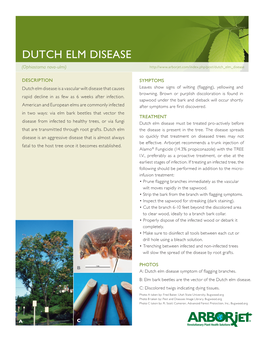 Dutch Elm Disease