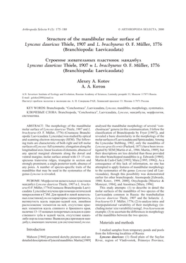 Structure of the Mandibular Molar Surface of Lynceus Dauricus Thiele, 1907 and L