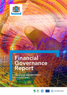 Financial Governance Report