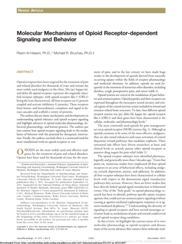 Molecular Mechanisms of Opioid Receptor-Dependent Signaling and Behavior