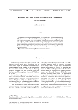 Anatomical Description of Solen Cf. Exiguus Dunker from Thailand Introduction