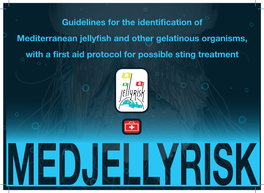 Guidelines for the Identification of Mediterranean Jellyfish and Other