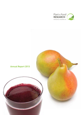 Annual Report 2013 Annual Report