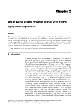 Link of Zygotic Genome Activation and Cell Cycle Control