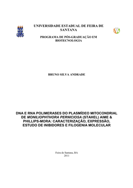 Universidade Estadual De Feira De Santana Dna E Rna