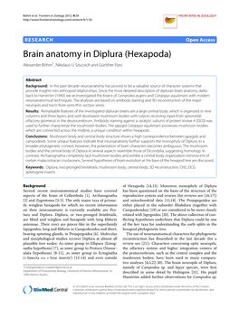 Brain Anatomy in Diplura (Hexapoda) Alexander Bohm¨ *, Nikolaus U Szucsich and Gunther¨ Pass