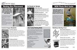 Nesting Box Placement NEW Photo Bird Guide