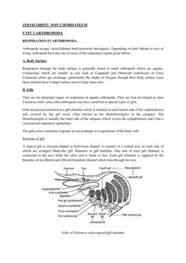 Zooacor03t- Non Chordates Ii Unit 3 Arthropoda