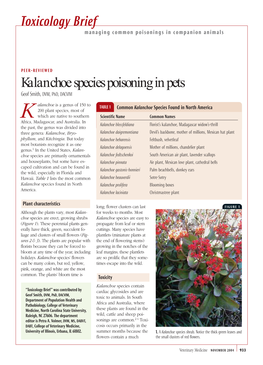 Kalanchoe Species Poisoning in Pets Geof Smith, DVM, Phd, DACVIM