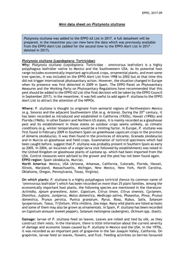Mini Data Sheet on Platynota Stultana