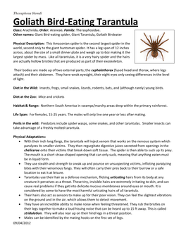 Goliath Bird-Eating Tarantula Class: Arachnida