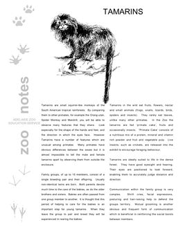 Zoo Notes Almost Impossible to Tell the Male and Female Tamarins Apart by Observing Them from Outside the Tamarins Are Ideally Suited to Life in the Dense