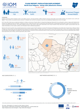 IOM Nigeria DTM Flash Report NE