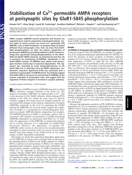 Permeable AMPA Receptors at Perisynaptic Sites by Glur1-S845 Phosphorylation