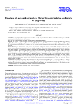 Structure of Sunspot Penumbral Filaments