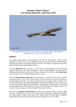 Singapore Raptor Report, Late Spring Migration, Apr-Jun 2018, V2