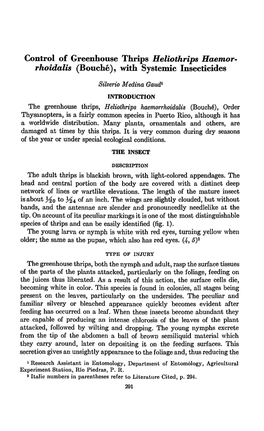 Control of Greenhouse Thrips Heliothrips Haemor- Rhoidalis (Bouché), with Systemic Insecticides