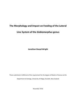The Morphology and Impact on Feeding of the Lateral Line System