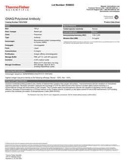 GNAQ Polyclonal Antibody Catalog Number PA5-61829 Product Data Sheet