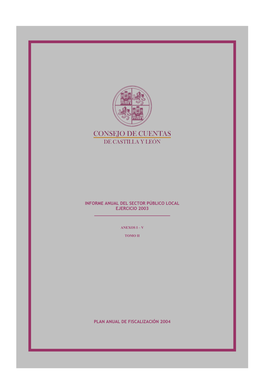 Informe Anual Del Sector Público Local Ejercicio 2003