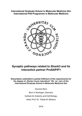 Synaptic Pathways Related to Shank3 and Its Interaction Partner Prosapip1