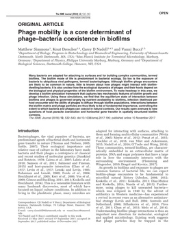 Phage Mobility Is a Core Determinant of Phage–Bacteria Coexistence in Biofilms