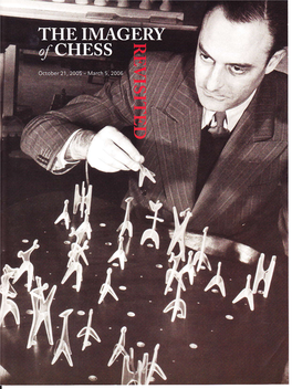 The Imagery of Chess Retisited