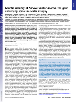 Genetic Circuitry of Survival Motor Neuron, the Gene Underlying Spinal