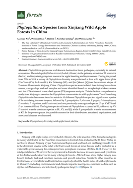Phytophthora Species from Xinjiang Wild Apple Forests in China