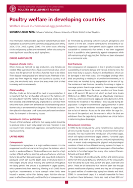 Poultry Welfare in Developing Countries Welfare Issues in Commercial Egg Production