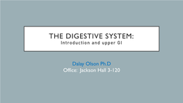 THE DIGESTIVE SYSTEM: Introduction and Upper GI