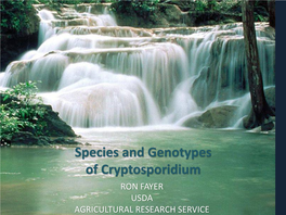 Species and Genotypes of Cryptosporidium RON FAYER USDA AGRICULTURAL RESEARCH SERVICE WHAT IS a SPECIES?