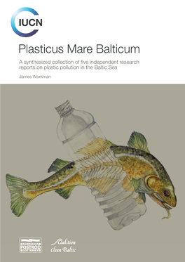 Plasticus Mare Balticum a Synthesized Collection of Five Independent Research Reports on Plastic Pollution in the Baltic Sea