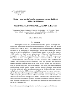 Nectary Structure in Symphyglossum Sanguineum (Rchb.F