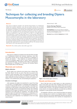 Techniques for Collecting and Breeding Diptera Muscomorpha in the Laboratory