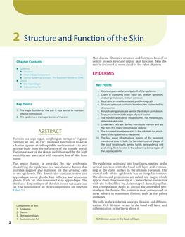 Structure and Function of the Skin